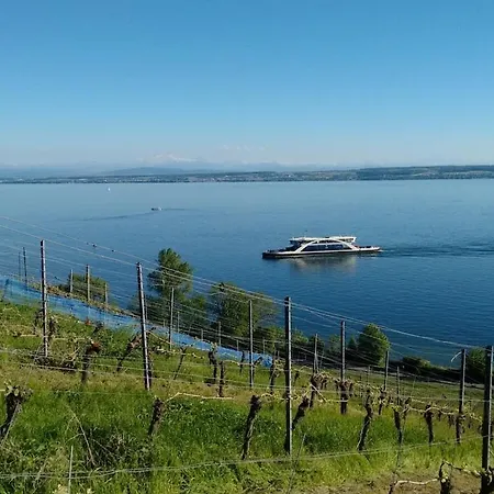 In With Wi-fi Ferienhaus *